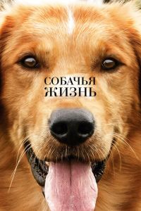 Смотреть онлайн Собачья жизнь (2017)