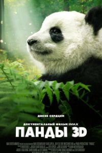 Панды 3D (2018)