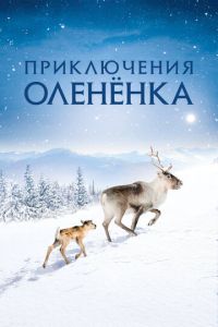 Смотреть онлайн Приключения олененка (2018)