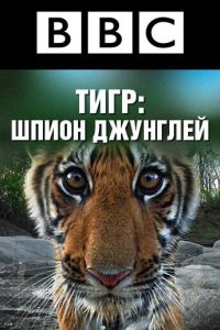 BBC: Тигр – шпион джунглей (2008)