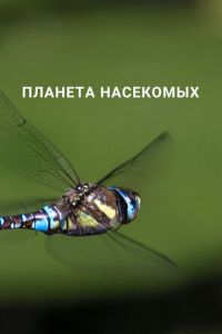Планета насекомых (2022)