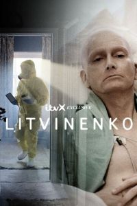Литвиненко (2022)