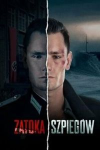 Смотреть онлайн Шпионский залив (2024)