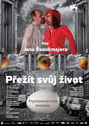 Смотреть онлайн Пережить свою жизнь (2010)