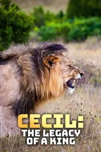 Сесил: Наследие короля (2020)