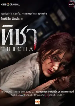 Смотреть онлайн Thicha (2024)